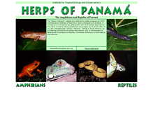 Tablet Screenshot of panamaherps.info